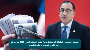 المنحة الجديدة.. خطوات الاستعلام عن منحة المولد النبوي 2025 عبر موقع وزارة القوى العاملة بالرقم القومي